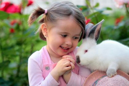 como cuidar de coelhos de estimação